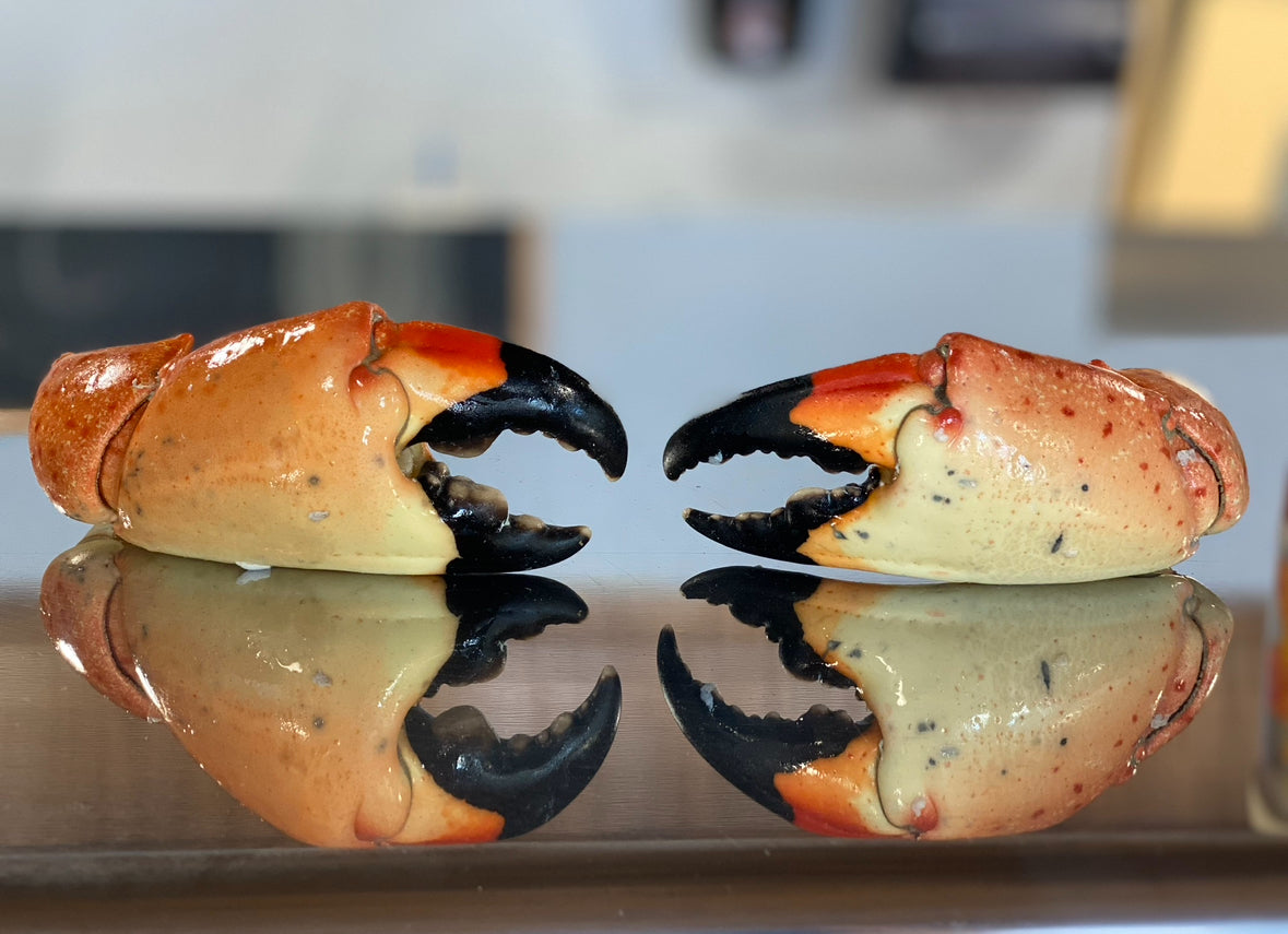 Stone Crabs
