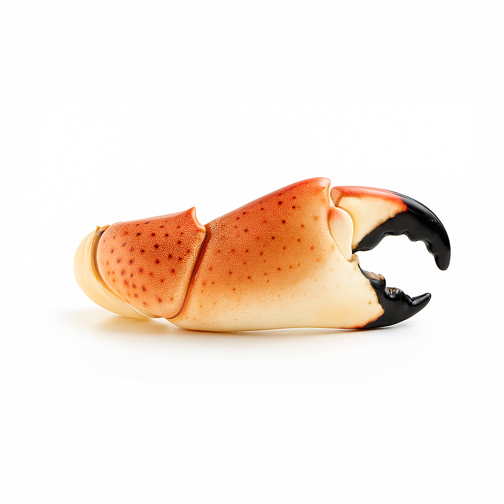 Stone Crab Claws (Large)