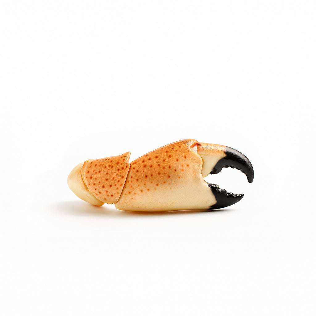 Stone Crab Claws (Medium)