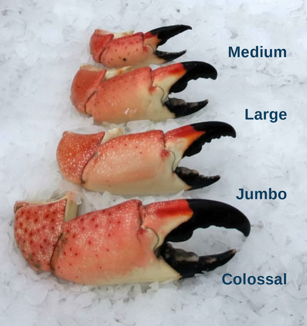 Stone Crab Claws (Colossal)