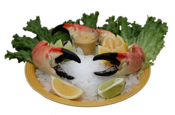 Jumbo Stone Crabs