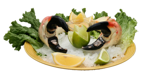 Colossal Stone Crabs