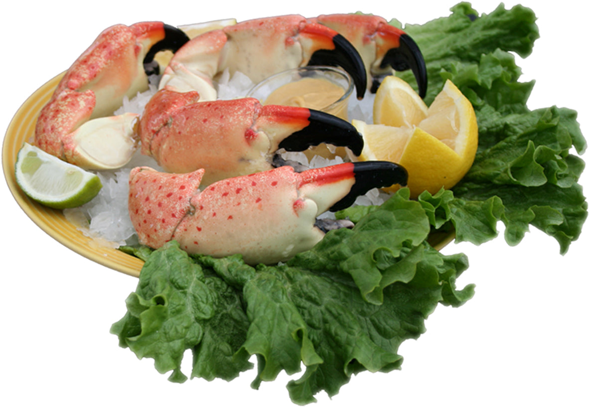 Large Stone Crabs